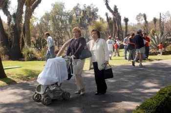 EXISTEN EN MÉXICO TRES GRUPOS DE FAMILIAS CON 11 VARIANTES: ESTUDIO DE LA UNAM