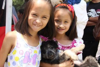 CON 12 MIL PERROS Y GATOS ESTERILIZADOS CONCLUYE IZTAPALAPA CUARTA ETAPA DE ANIMALÍZATE