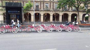 INICIA OPERACIÓN DE BICIBUSES DE SEMOVI EN EL CH