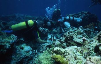 ANALIZAN VESTIGIOS DE POSIBLE NAVE DE GUERRA BRITÁNICA ENCALLADA EN LA SONDA DE CAMPECHE