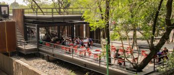 POR SU ARQUITECTURA, DISTINGUEN A LA CAFETERÍA DE LA FACULTAD DE MEDICINA DE LA UNAM