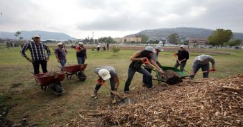 Reforesta IPN zona deportiva de Ticomán