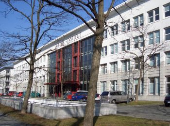 ALEMANIA ABRE BECAS PARA ESTUDIANTES EN MÉXICO 