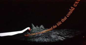 Llevan la astrobiología de México al planetario