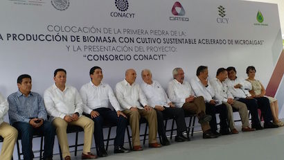 Coloca el Dr. Cabrero primera piedra de planta piloto para producción de biomasa en Tabasco