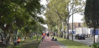 GRAN JORNADA DE LIMPIA, TRIQUES Y PODA EN FF.CC NACIONALES