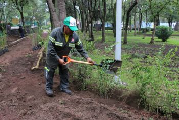 DAN MANTENIMIENTO A BOSQUES URBANOS EN XOCHIMILCO