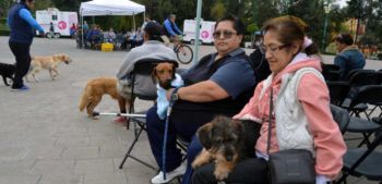 LLEVA A TU MASCOTA A LA MEGA JORNADA DE ESTERILIZACIÓN EN AZCAPOTZALCO