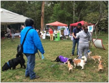 SE LLEVARÁ A CABO LA SEGUNDA EDICIÓN DE VIVE MASCOTA EN XOCHIMILCO