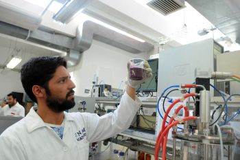UNIVERSITARIOS PRODUCEN BIOCOMBUSTIBLES GASEOSOS A PARTIR DE RESIDUOS DE LA INDUSTRIA VITIVINÍCOLA