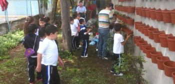 CREAN MURO VERDE EN PRIMARIA MÁRTIRES DEL AGRARISMO