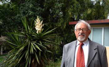 NIÑOS ACOSADORES: AGRESORES Y VÍCTIMAS