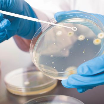 RECIBEN ALUMNAS DE LA ENES MORELIA PREMIO ASM-UNAM