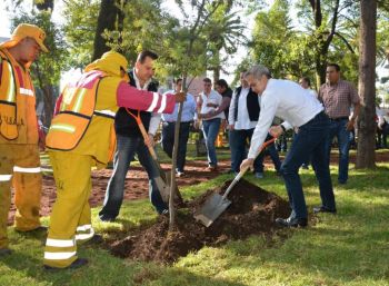 Beneficia "Tu Ciudad te Re-Quiere" a colonias de la delegación Benito Juárez