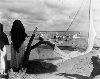 FILMOTECA UNAM, HISTORIA Y CULTURA DE MÉXICO