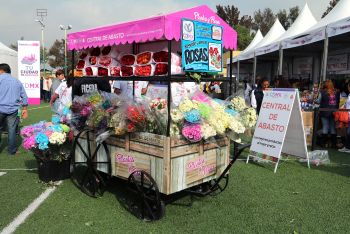 COLORES, OLORES Y SABORES PRESENTES EN JORNADA TU CIUDAD TE REQUIERE
