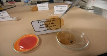 Crea IPN película comestible a partir de desechos de café