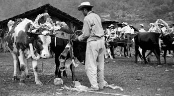 LA EXPRESIÓN LINGUÍSTICA Y VIDA COTIDIANA DE CUATRO COMUNIDADES INDÍGENAS, EN MUESTRA FOTOGRÁFICA