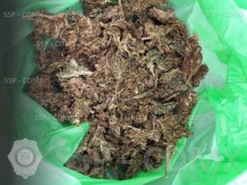 APREHENDEN A 4 HOMBRES, SE LES ASEGURA HIERBA SIMILAR A LA MARIHUANA