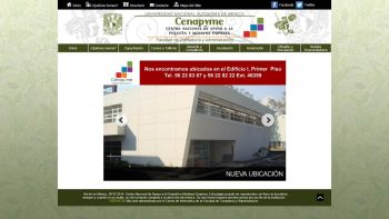 PYMES FUNDADAS POR JÓVENES CON NIVEL UNIVERSITARIO, LAS MÁS EXITOSAS EN MÉXICO