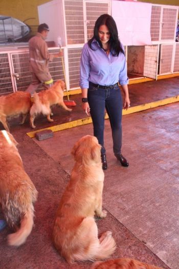 SUPERVISÓ DIONE ANGUIANO PROCESO DE REVISIÓN Y ATENCIÓN A PERROS RECUPERADOS EN CRIADERO