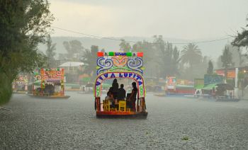 Destinará GCDMX 14 millones de pesos a productores de Xochimilco afectados por lluvias