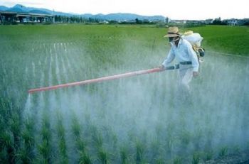 EXIGEN SUSPENDER 183 PLAGUICIDAS EN MÉXICO