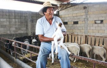 Atención a Siniestros Agropecuarios al rescate del productor