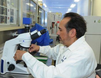 LA OBESIDAD DESAJUSTA LA MEMORIA, EL APRENDIZAJE Y FUNCIONES METABÓLICAS