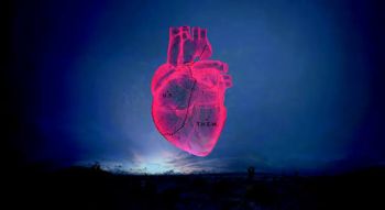 LLEGA CARNE Y ARENA A LA CDMX