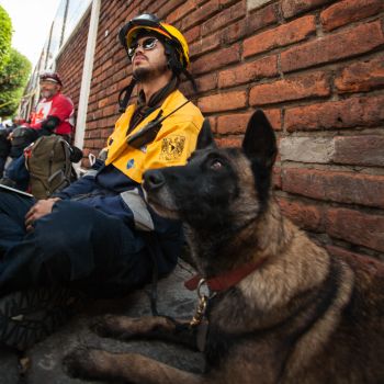 DEJAN HUELLA LOS BINOMIOS PERRO-HUMANO DE LA UNAM