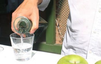Bebidas mexicanas con Denominación de Origen