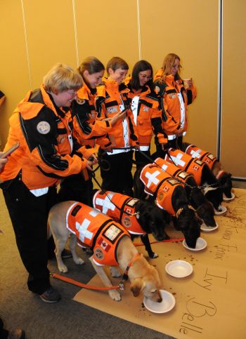 AGRADECE LA SECRETARÍA DE RELACIONES EXTERIORES A LA UNAM POR SU APOYO ANTE LOS SISMOS