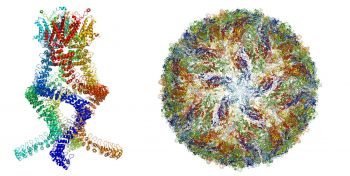 OTORGAN NOBEL DE QUÍMICA A FOTÓGRAFOS MOLECULARES
