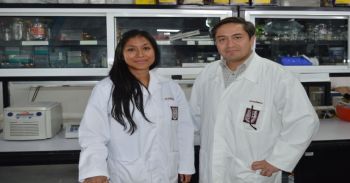 Biofertilizantes elevan producción en suelos áridos y con salinidad
