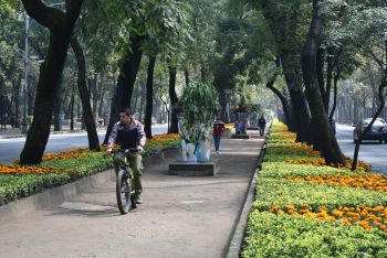 30 macetas monumentales embellecen avenida Paseo de la Reforma