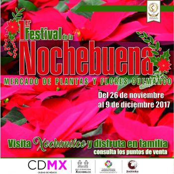 LISTA VENTA DE FLOR DE NOCHEBUENA EN XOCHIMILCO