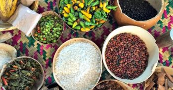 Los sabores de la cocina tradicional presentes en México Alimentaria 2017 Food Show