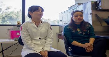 Trabaja IPN con chía para microencapsular enzimas de importancia alimentaria
