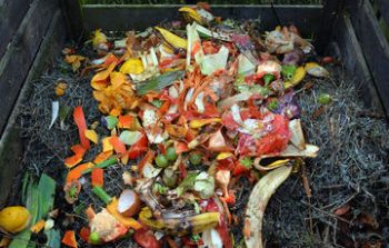Impulsa Semarnat Estrategia Nacional para Evitar Desperdicio de Alimentos