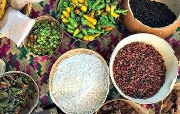 El campo mexicano un excelente destino para las vacaciones
