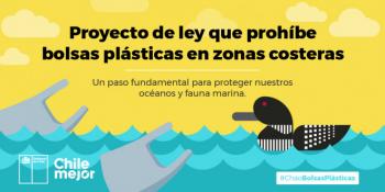 Proyecto de Ley que prohíbe bolsas plásticas en zonas costeras es inédito en América Latina