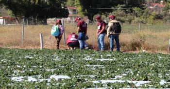 Politécnicos asesoran a agricultores y brindan servicio médico en Michoacán