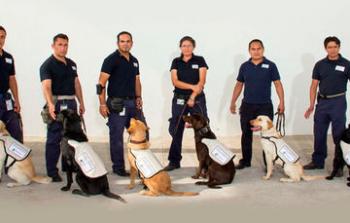 Al ingresar a México, en puertos y aeropuertos ¿por qué me revisa un perro?