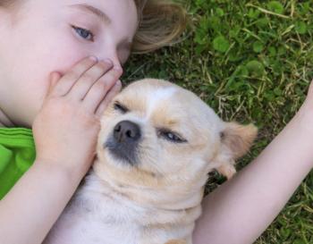 RESPONSABILIDAD Y CUIDADOS, FACTORES A TOMARSE EN CUENTA ANTES DE REGALAR UN ANIMAL DE COMPAÑÍA