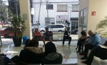 A UN MES DE INAUGURADA, LA CLÍNICA VETERINARIA DE GAM HA ATENDIDO A MÁS DE MIL 100 MASCOTAS: LOBO ROMÁN