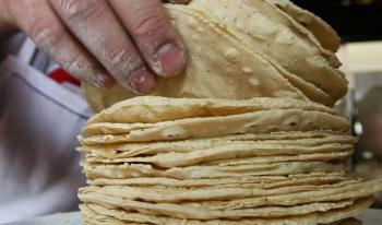 Aumento a precio de la tortilla, golpe certero a economía de los mexicanos: Dip. Elizabeth Mateos