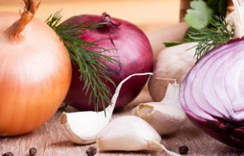 ¿Conoces los antibióticos naturales del campo mexicano?