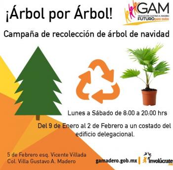 LA GAM ESPERA RECICLAR MÁS DE 6 MIL ÁRBOLES DE NAVIDAD, A TRAVÉS DEL PROGRAMA ÁRBOL POR ÁRBOL