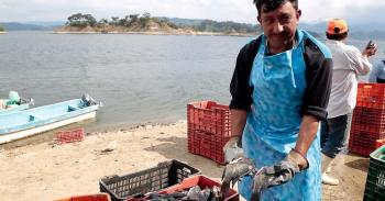Sedesol impulsa el desarrollo social del estado de Chiapas